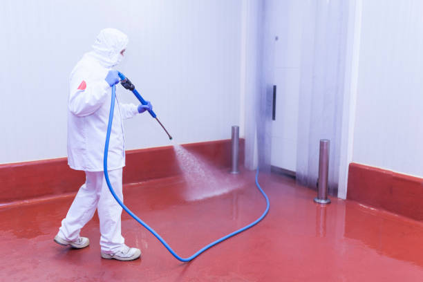 Best Patio and Deck Pressure Washing  in Mount Vernon, GA