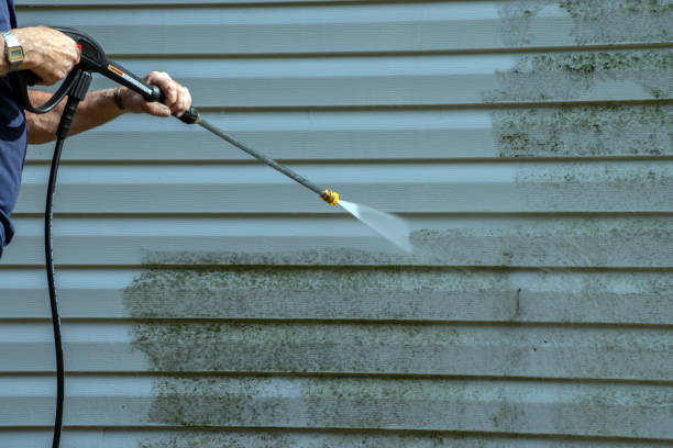 Professional Pressure Washing Services in Mount Vernon, GA